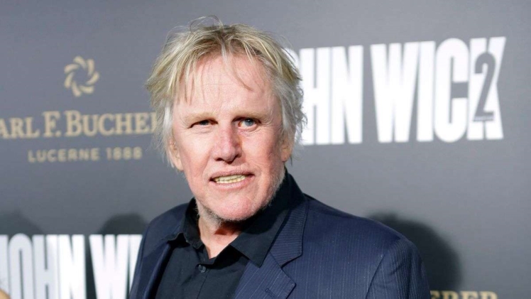 Gary Busey : Bio, Wiki, Age, Net Worth Gary Busey Bio Wiki Age Net Worth