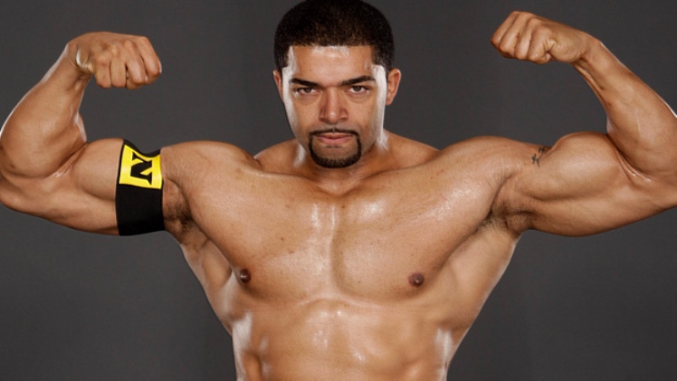 David Otunga : Bio, Wiki, Age, Net Worth