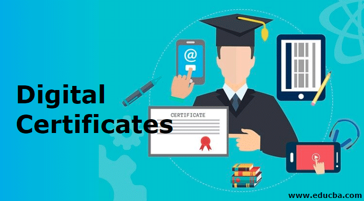 How Digital Certificates and CAs Shield Your Sensitive Data Digital Certificates