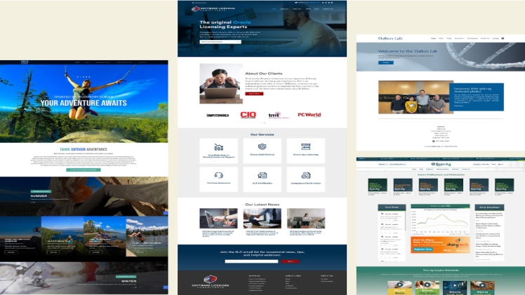 Is WordPress Suitable for Web Application Development? 2 Is WordPress Suitable for Web Application Development2